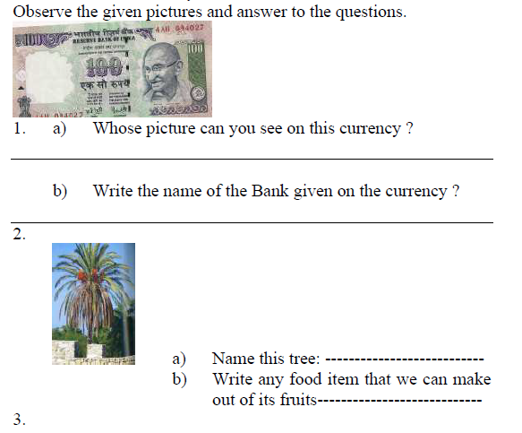 cbse-class-4-evs-question-paper-set-b-bank2home