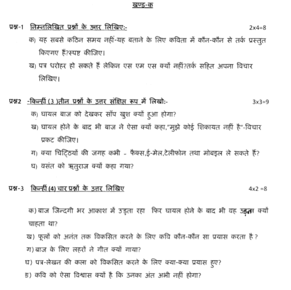 CBSE Class 8 Hindi Question Paper Set I