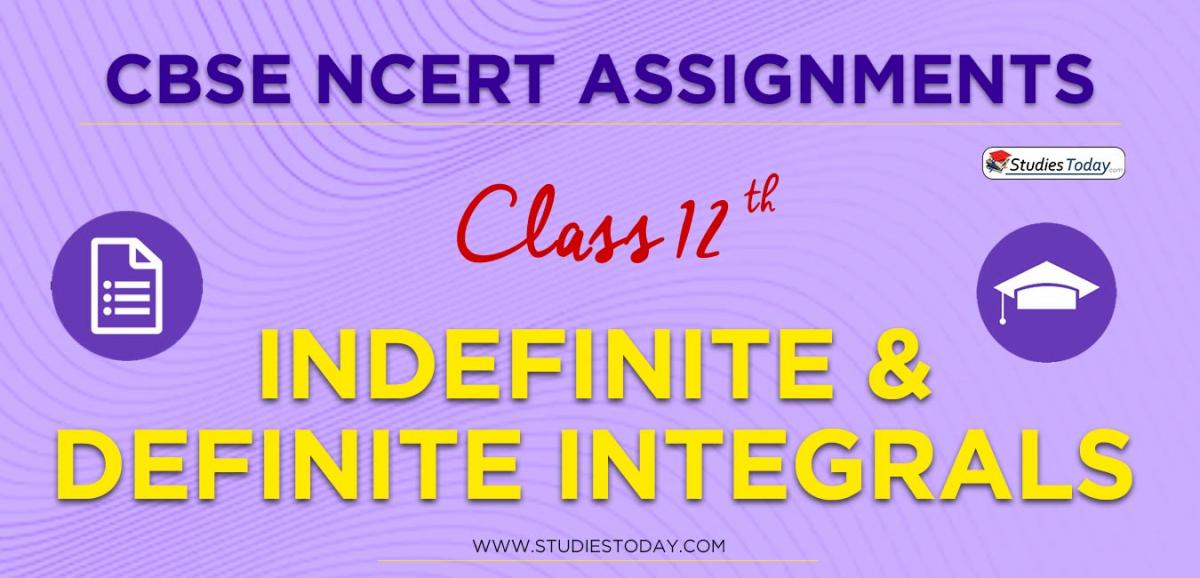 CBSE NCERT Assignments for Class 12 Indefinite & Definite Integrals