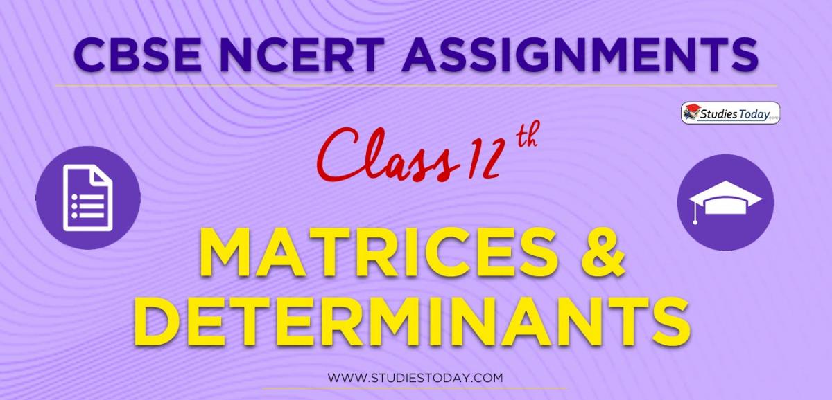 CBSE NCERT Assignments for Class 12 Matrices & Determinants