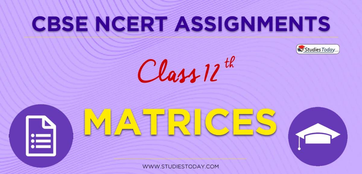 CBSE NCERT Assignments for Class 12 Matrices