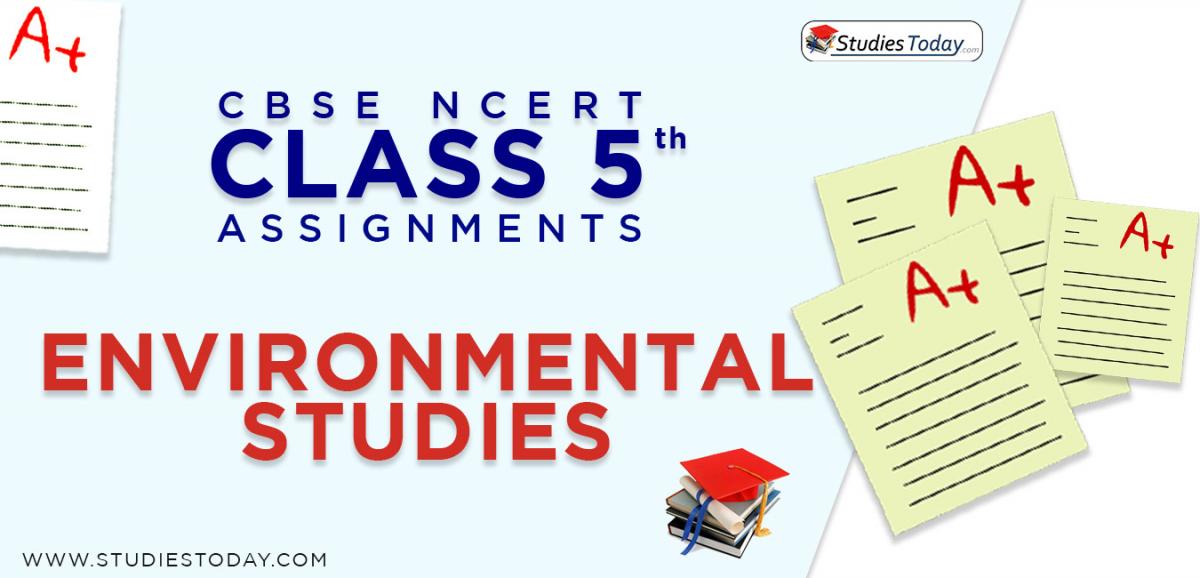 CBSE NCERT Assignments for Class 5 Environmental Studies