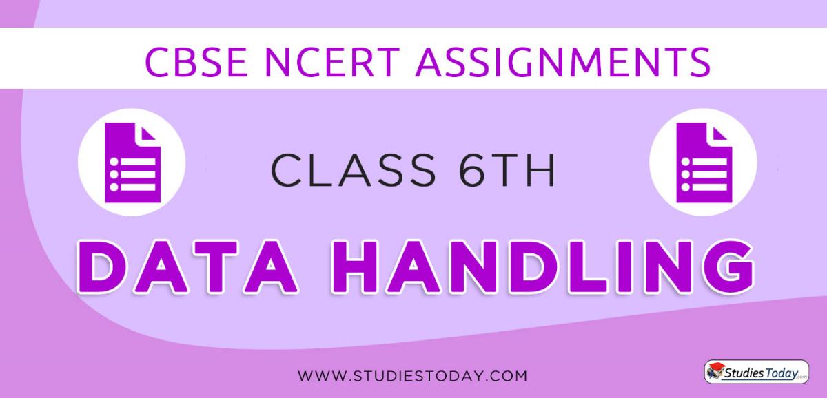 CBSE NCERT Assignments for Class 6 Data Handling