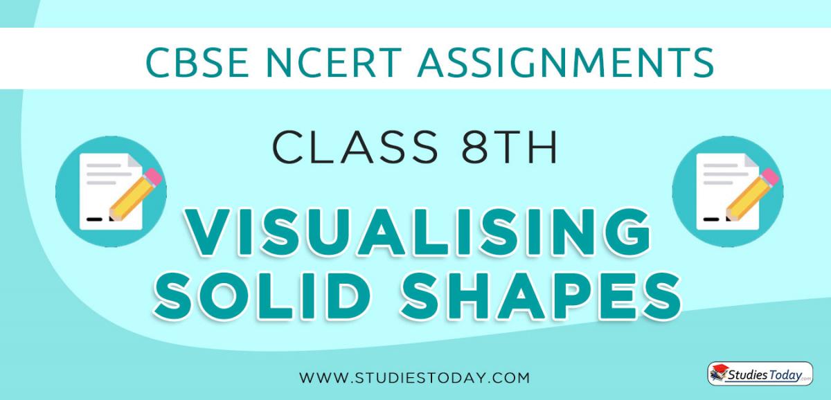 CBSE NCERT Assignments for Class 8 Visualising Solid Shapes