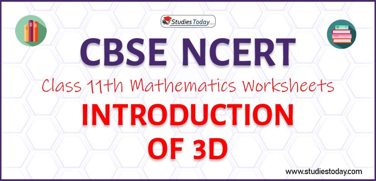 CBSE NCERT Class 11 Introduction of 3D Worksheets