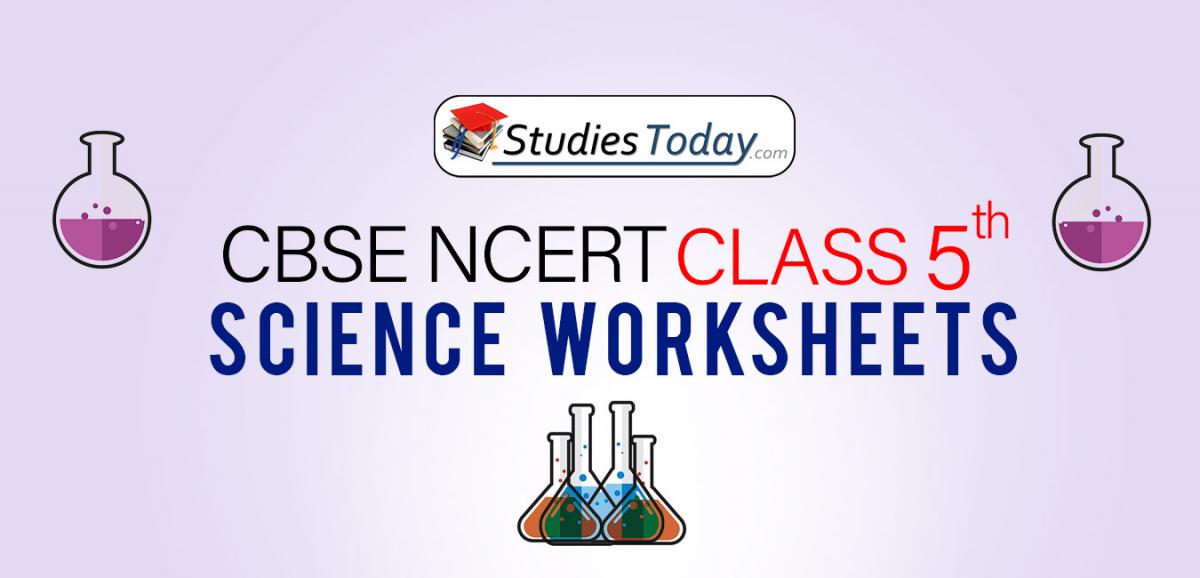CBSE NCERT Class 5 Science Worksheets