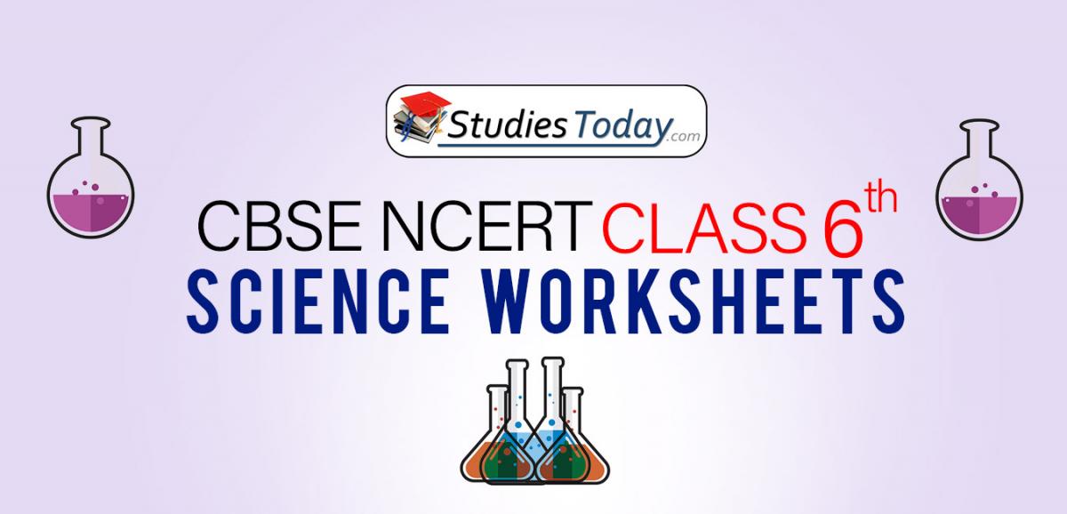 CBSE NCERT Class 6 Science Worksheets