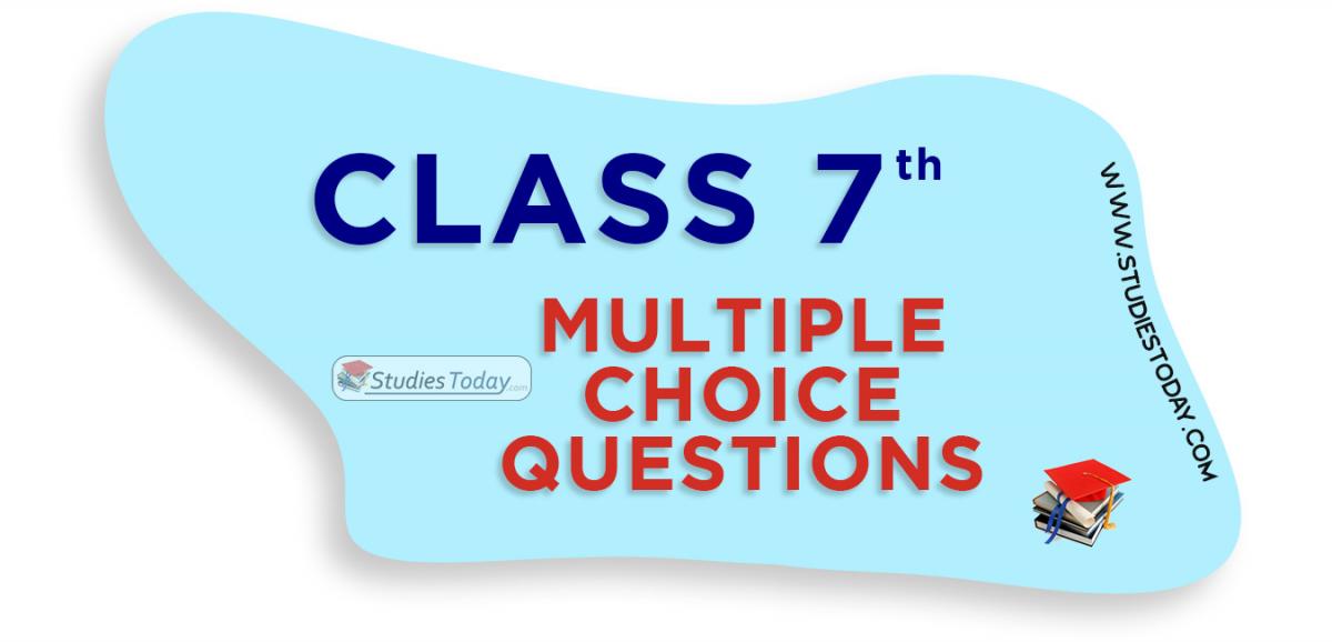 Class 7 Multiple Choice Questions (MCQs)