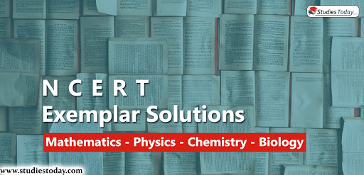 ncert solutions problems
