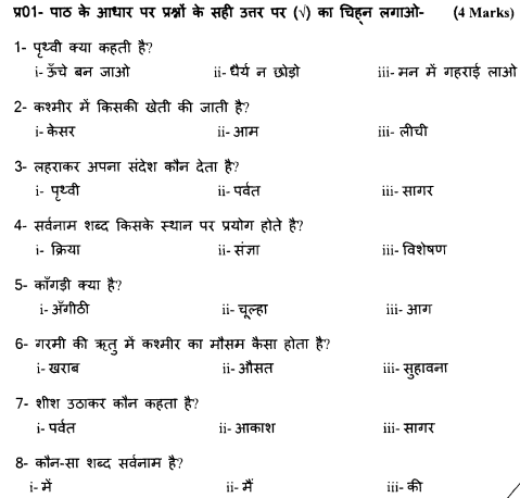 class_4_Hindi_Question_Paper_3