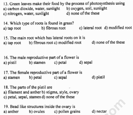 CBSE Class 6 Science Body Movements MCQs Set B, Multiple Choice ...