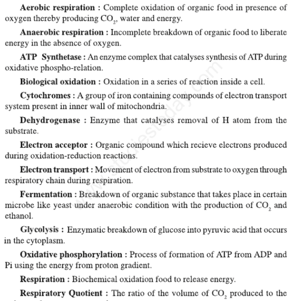 CBSE Class 11 Biology Respiration in Plants Concepts