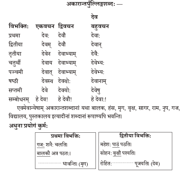 NCERT Class 9 Sanskrit Abhyaswaan Bhav Shabdrupani