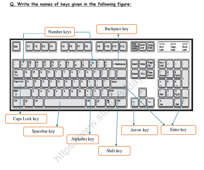 CBSE Class 1 Computer Science Worksheet - The Keyboard 