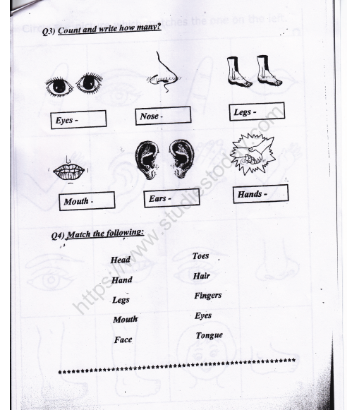 cbse class 1 evs our body and cleanliness worksheet set b practice