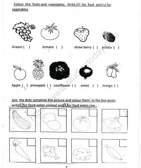 CBSE Class 1 EVS Our Food Worksheet