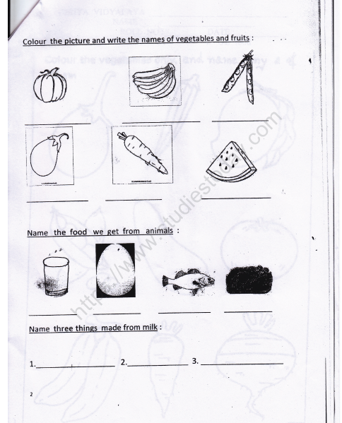 cbse class 1 evs our food worksheet set b practice worksheet for