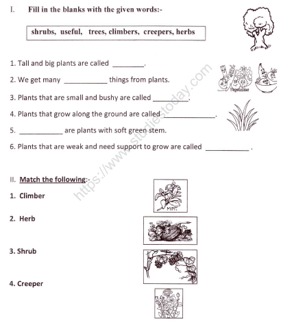 cbse class 1 evs plants around us worksheet set a practice worksheet