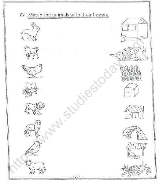 CBSE Class 1 English Revision Worksheet Set 2