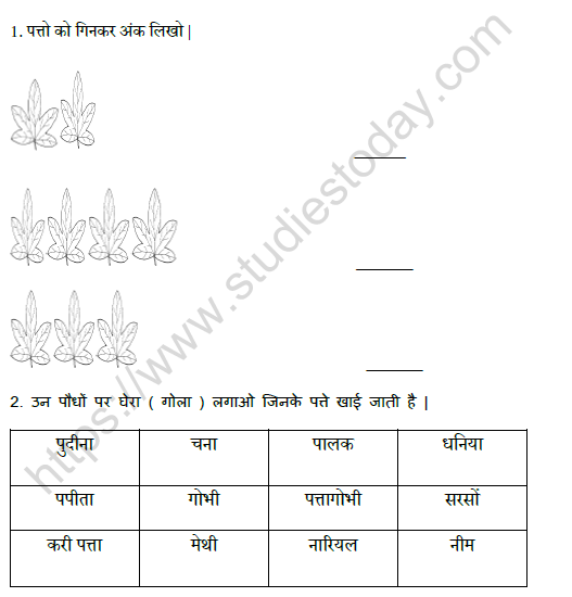 CBSE Class 1 Hindi पत्ते ही पत्ते Worksheet
