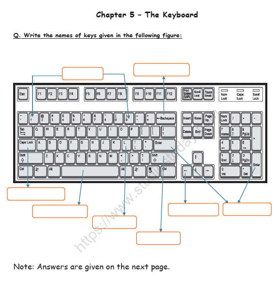 CBSE Class 2 Computers Practice Worksheet (6) - Keyboard 1