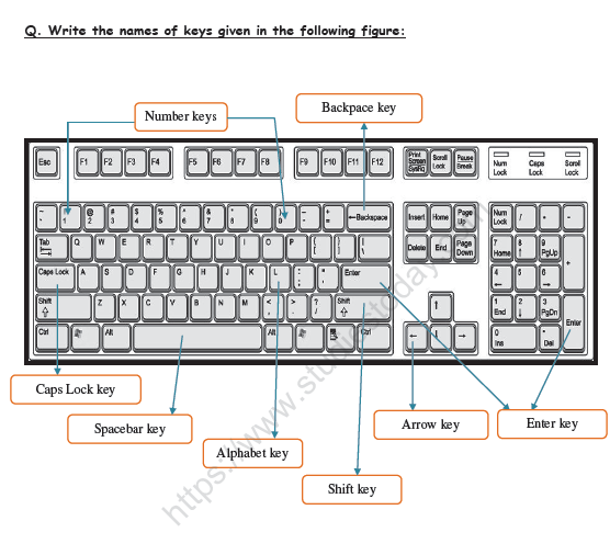 CBSE Class 2 Computers Practice Worksheet (6) - Keyboard 2
