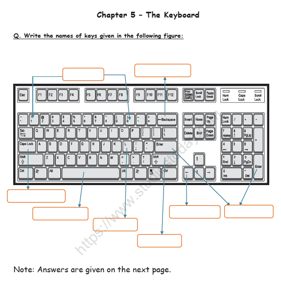 Class 2 Computer Worksheet pdf