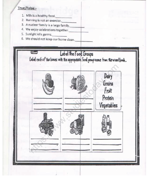 cbse class 2 evs practice revision worksheet set h practice worksheet