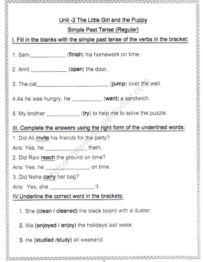 Cbse Class 2 English Simple Past Tense Worksheet