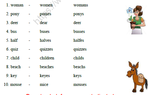 cbse class 2 english singular nouns worksheet practice worksheet for english