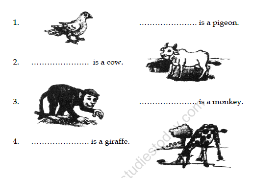 CBSE Class 2 English Practice Worksheets (27)-Grammer and Vocabulary 2