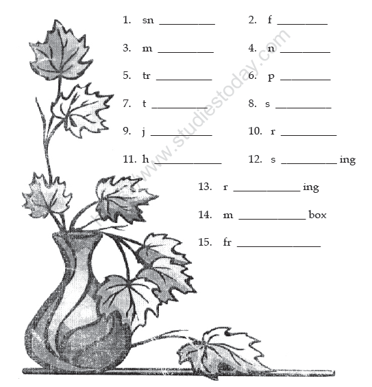 CBSE Class 2 English Practice Worksheets (34)-The Grasshopper 5