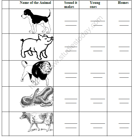 CBSE Class 2 English Strange Talk Worksheet