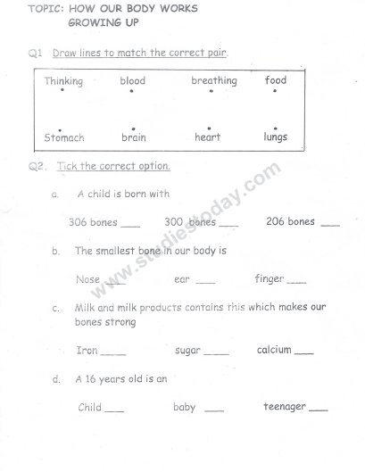 CBSE Class 2 Revision Worksheets (3) 1