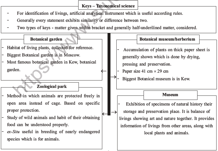 NEET Biology Plant Anatomy Plant Tissues MCQs Set A-65