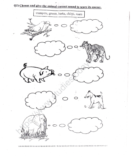 cbse class 2 evs practice animals worksheet set b practice worksheet