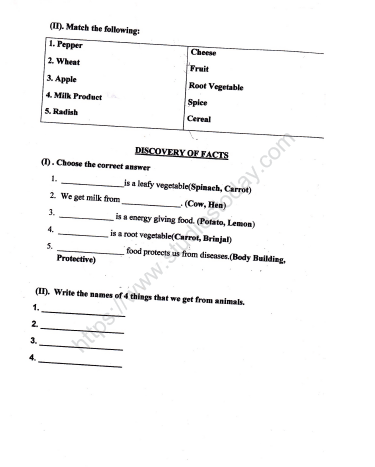 cbse class 2 evs practice our food worksheet set b practice worksheet