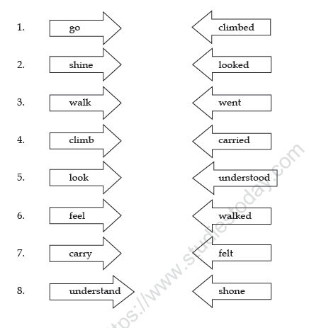 Cbse Class 3 English Grammar Worksheet Set C Practice Worksheet For English
