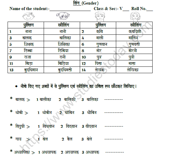 cbse class 5 hindi gender worksheet set a