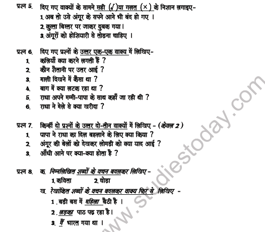 CBSE Class 6 Hindi Question Paper Set 4 Solved 2