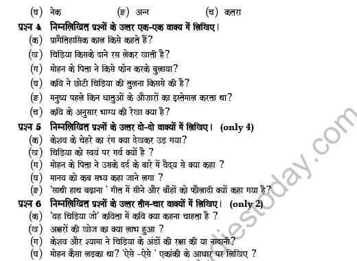 CBSE Class 6 Hindi Question Paper Set 9 Solved 2