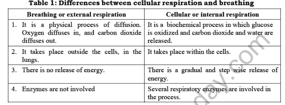 Class 7 Science Respiration in Plants and Animals Advanced Notes