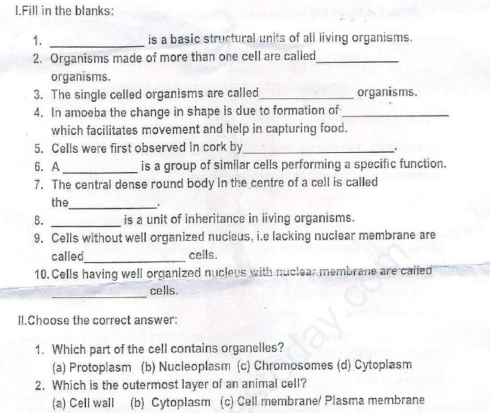 Cell Structure And Function Class 8 Worksheet