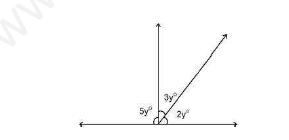 CBSE Class 9 Lines and Angles Assignment 4