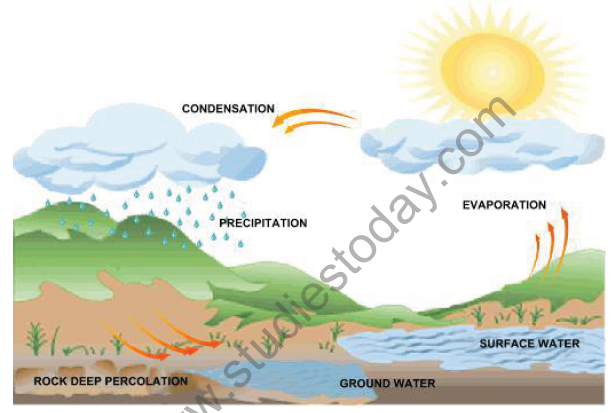 CBSE Class 9 Science Natural Resources Notes