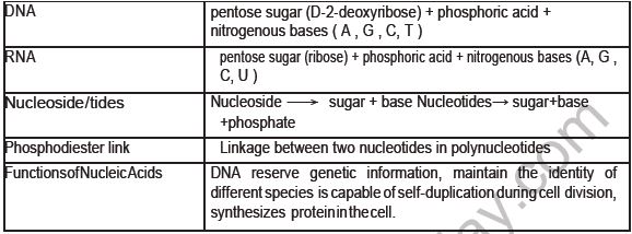 CBSE-Class-12-Chemistry-Biomolecules-Board-Exam-Notes