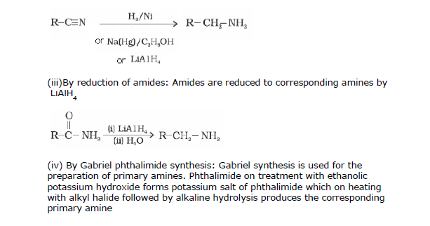 CBSE Class 12 Chemistry - Amines Chapter Notes 2