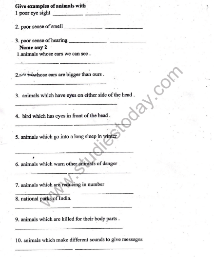 CBSE Class 5 EVS Revision Worksheet- Super Senses 4