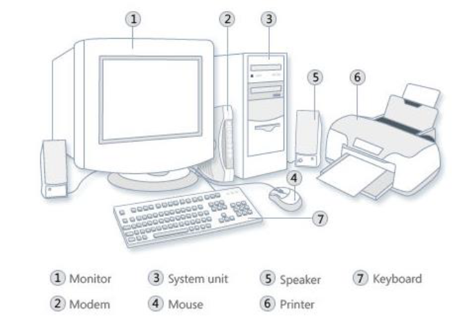 CBSE Class 4 Computers Basics of Computer Worksheet