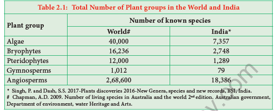 NEET-Botany-Plant-Kingdom-Chapter-Notes 1